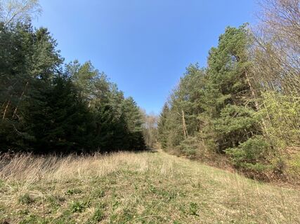 Fotografie z Attila Mihalcz na trase