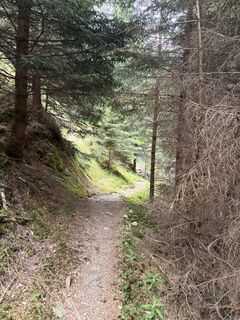 Photo de Stucki Sven le long du parcours