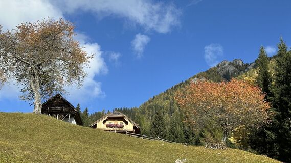 Foto von Gabriele Guggenberger entlang der Tour