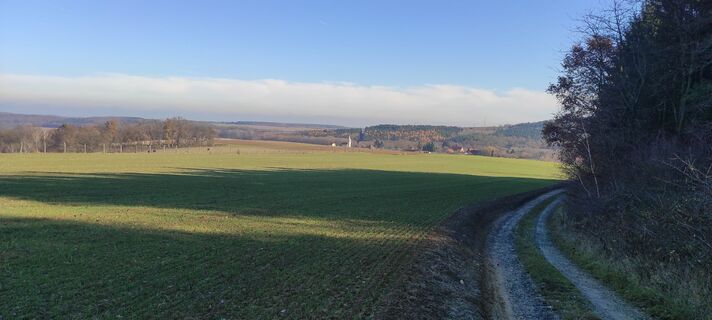 Fotografija s spletne strani Làszló Visi na poti