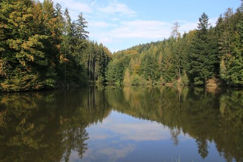 Karta
