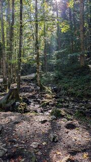Foto von Pfefferam entlang der Tour