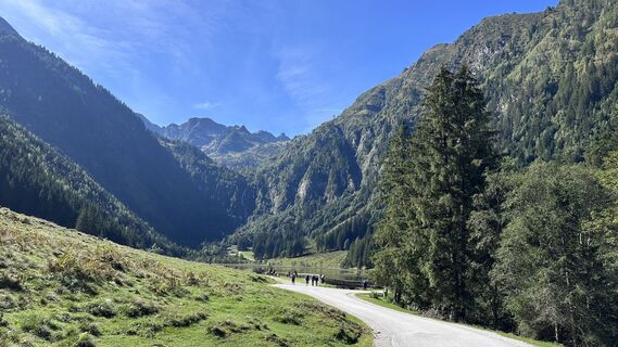 Foto von Mountain Cat ? ⛰️ entlang der Tour