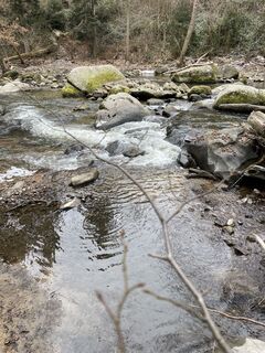 Foto van Horst Moser langs de tour