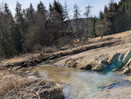 Fotografia z karin1108 na trase