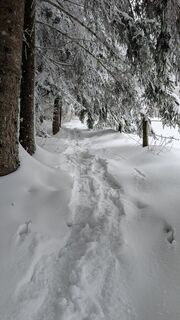 Foto von harry60 entlang der Tour