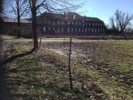 Fotografia z Eroica Kremer na trase