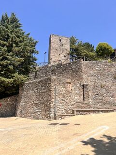 Fotografia z ecFAB40 na trase