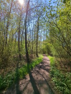 Photo de Klaus Hertle le long du parcours