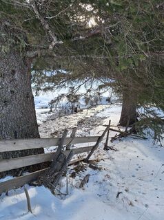 Fotografia z Dagmar Hofer na trase