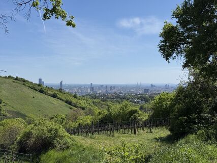 Photo de Alexander Wastian le long du parcours