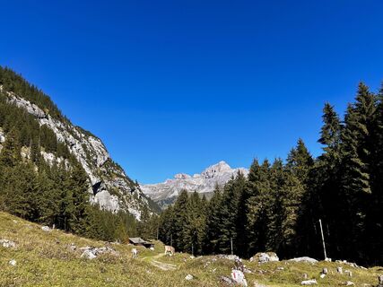 Fotografija s spletne strani F A 4 na poti