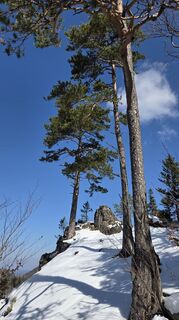 Foto von Axel Polleres entlang der Tour