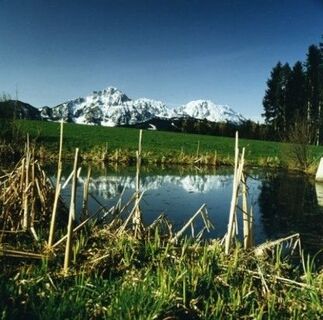 Höglrunde-Stroblalm-Steinhögl