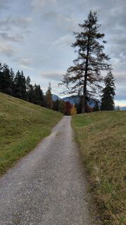 Foto von Al la Bama entlang der Tour