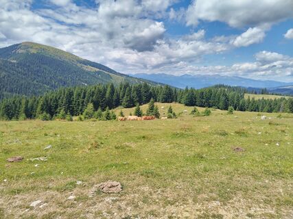 Photo de Georg le long du parcours