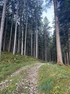 Foto von Sergej Timohin entlang der Tour