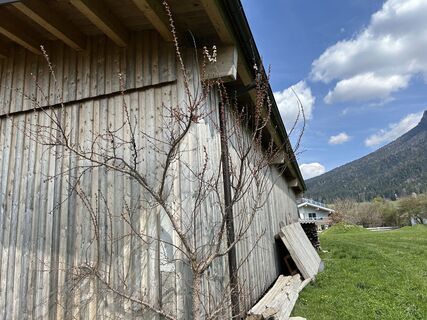 Foto från Hwidmoser under resans gång