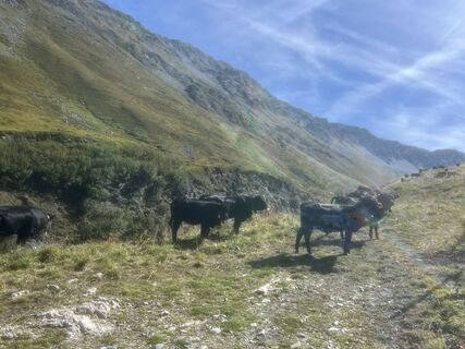 Foto de Giulio Vannini a lo largo del recorrido