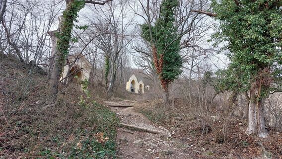 Photo de Peter Zaruba le long du parcours