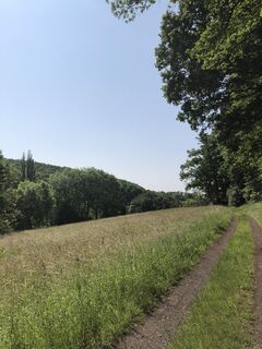Foto de Selden Rothbrust a lo largo del recorrido