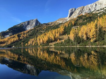 Tauplitzalm
