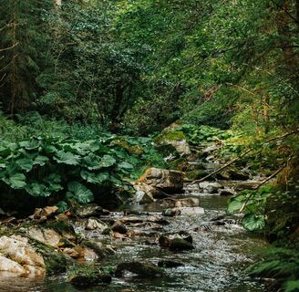 Haslachschlucht
