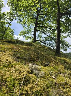 Fotó a Elisabeth Zednik honlapról a túra során