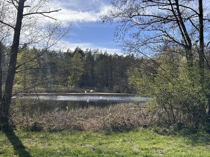 Fotografija s spletne strani Norbert Herbig na poti