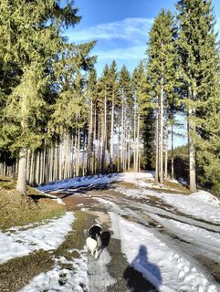 Photo de Matthias Lösch le long du parcours