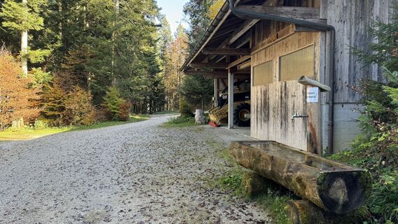 Foto de peter_oe a lo largo del recorrido