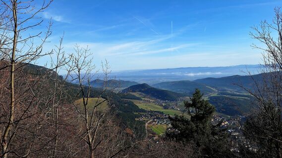 Фото с сайта Regina Fleischmann во время экскурсии