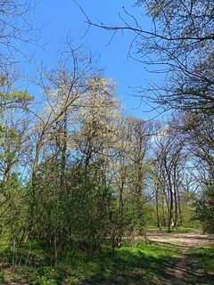 Foto de Julika Jármer a lo largo del recorrido