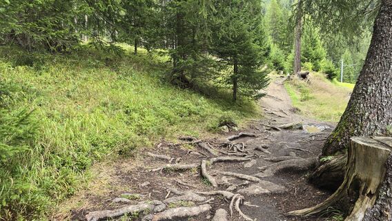 Foto von Bike Rider entlang der Tour