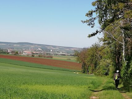 Blick nach Schöngrabern