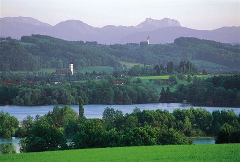 Blick auf Waging