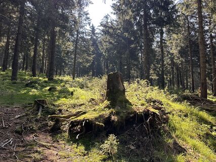 Foto von Norbert Herbig entlang der Tour
