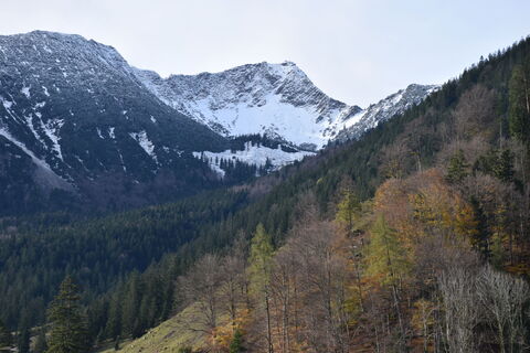 Die Aiplspitz von Aurach gesehen
