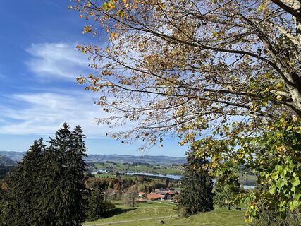 Foto fra Arne Berger undervejs på turen