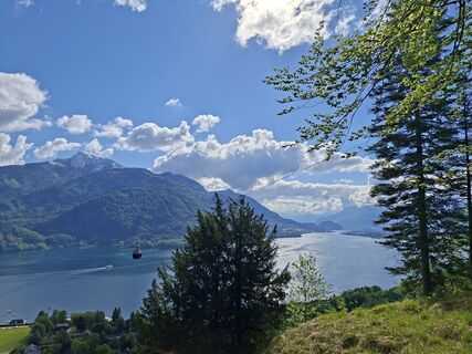 Foto von Martina Karl 1 entlang der Tour