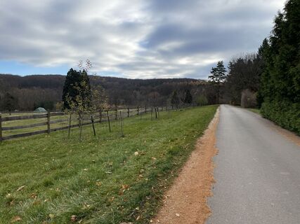 Fotografija s spletne strani Andonisz Haronisz na poti