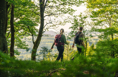 Pfad auf der Bergkuppe Rösberg