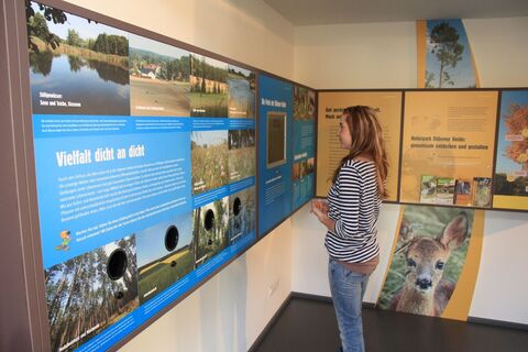 Interaktive Ausstellung im NaturparkHaus Dübener Heide