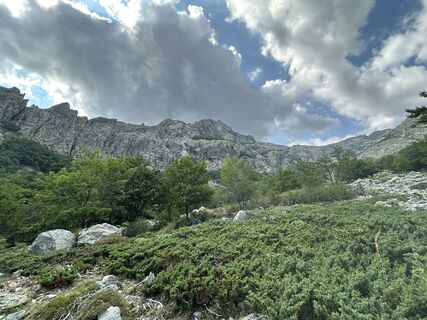 Fotografija s spletne strani DML na poti