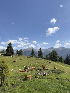 Foto von Marcel Zraunig entlang der Tour