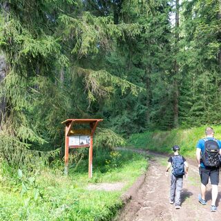Historische Sportstätten Wanderung bei Oberhof