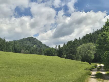 Photo de josef duermoser le long du parcours