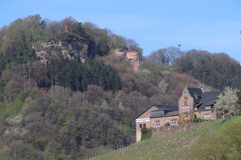 Foto von Günter Kleutsch entlang der Tour