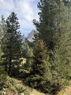 Fotografie de la Stefano “Iddo” de-a lungul turului