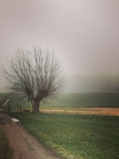Foto von Chris Schöbben entlang der Tour